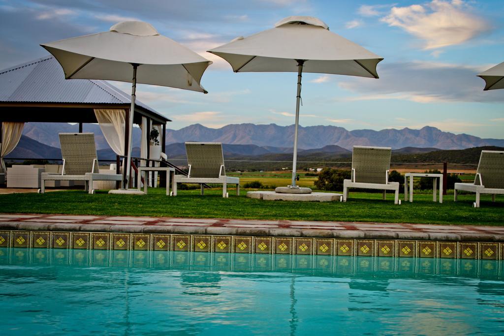 Willa Surval Boutique Olive Estate Oudtshoorn Zewnętrze zdjęcie