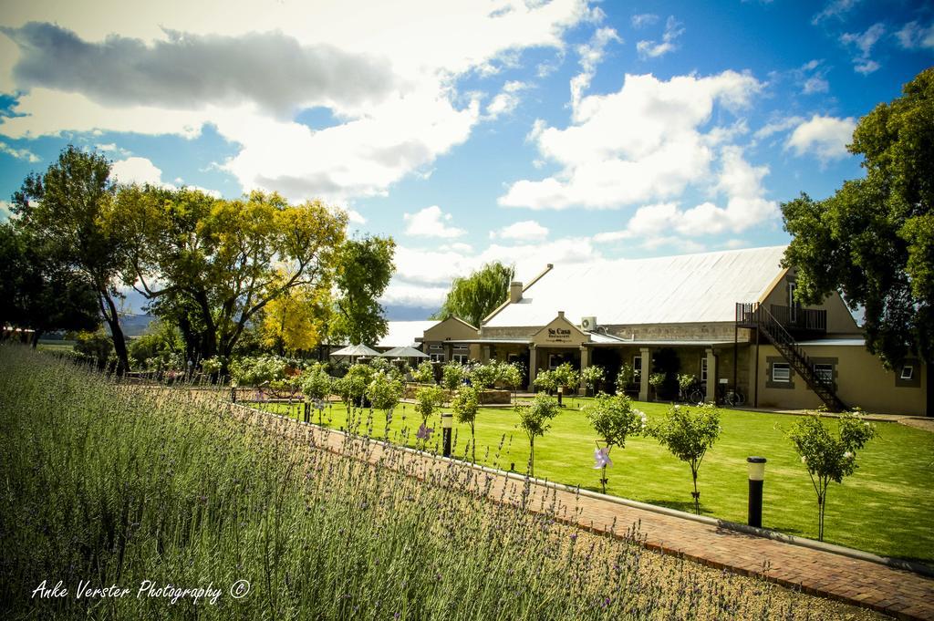 Willa Surval Boutique Olive Estate Oudtshoorn Zewnętrze zdjęcie
