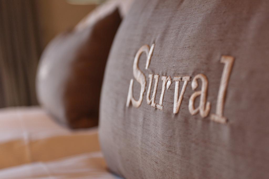 Willa Surval Boutique Olive Estate Oudtshoorn Zewnętrze zdjęcie
