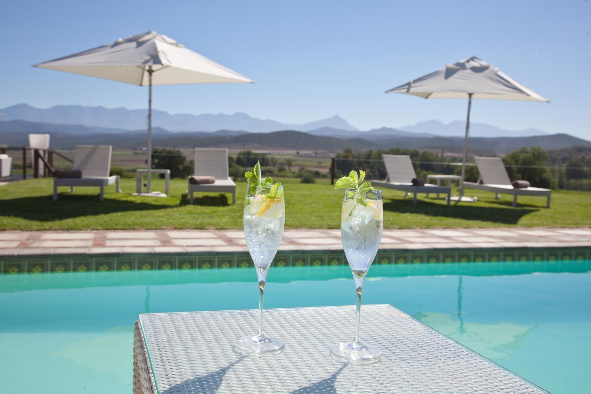Willa Surval Boutique Olive Estate Oudtshoorn Zewnętrze zdjęcie
